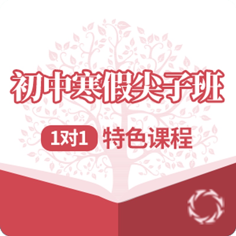 初中寒假尖子班_服务项目_网站风格成品案例