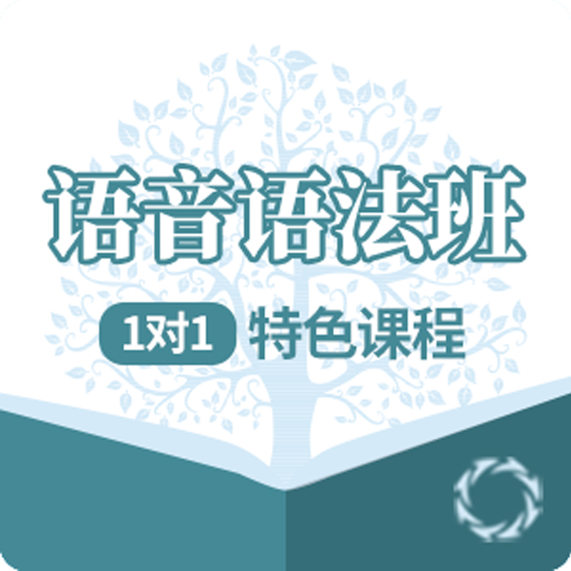 语音语法班_服务项目_网站风格成品案例