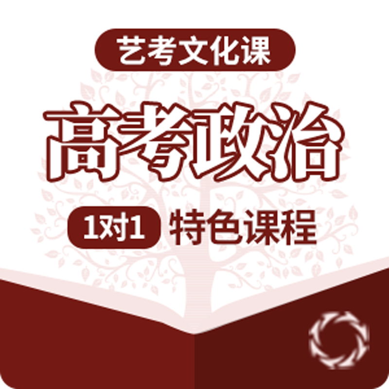 艺考文化课高考政治1对1特色课程_服务项目_网站风格成品案例
